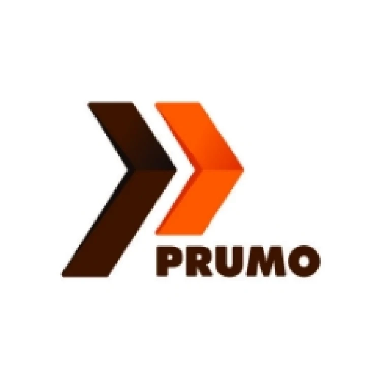 Logo Prumo